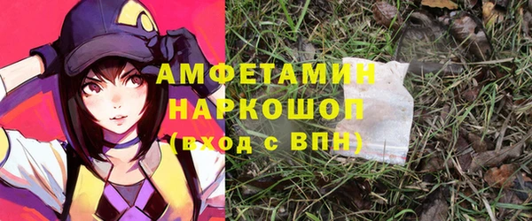 сатива Пересвет