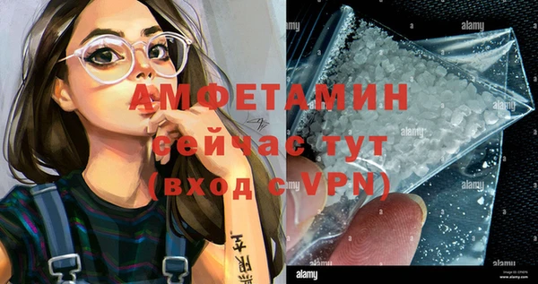 сатива Пересвет