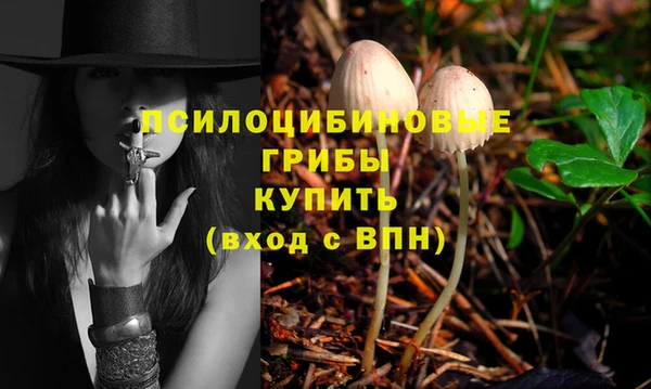экстази Переславль-Залесский